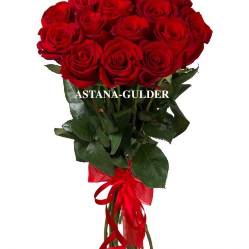 Букет из 15 роз (50 см) красные Голландия